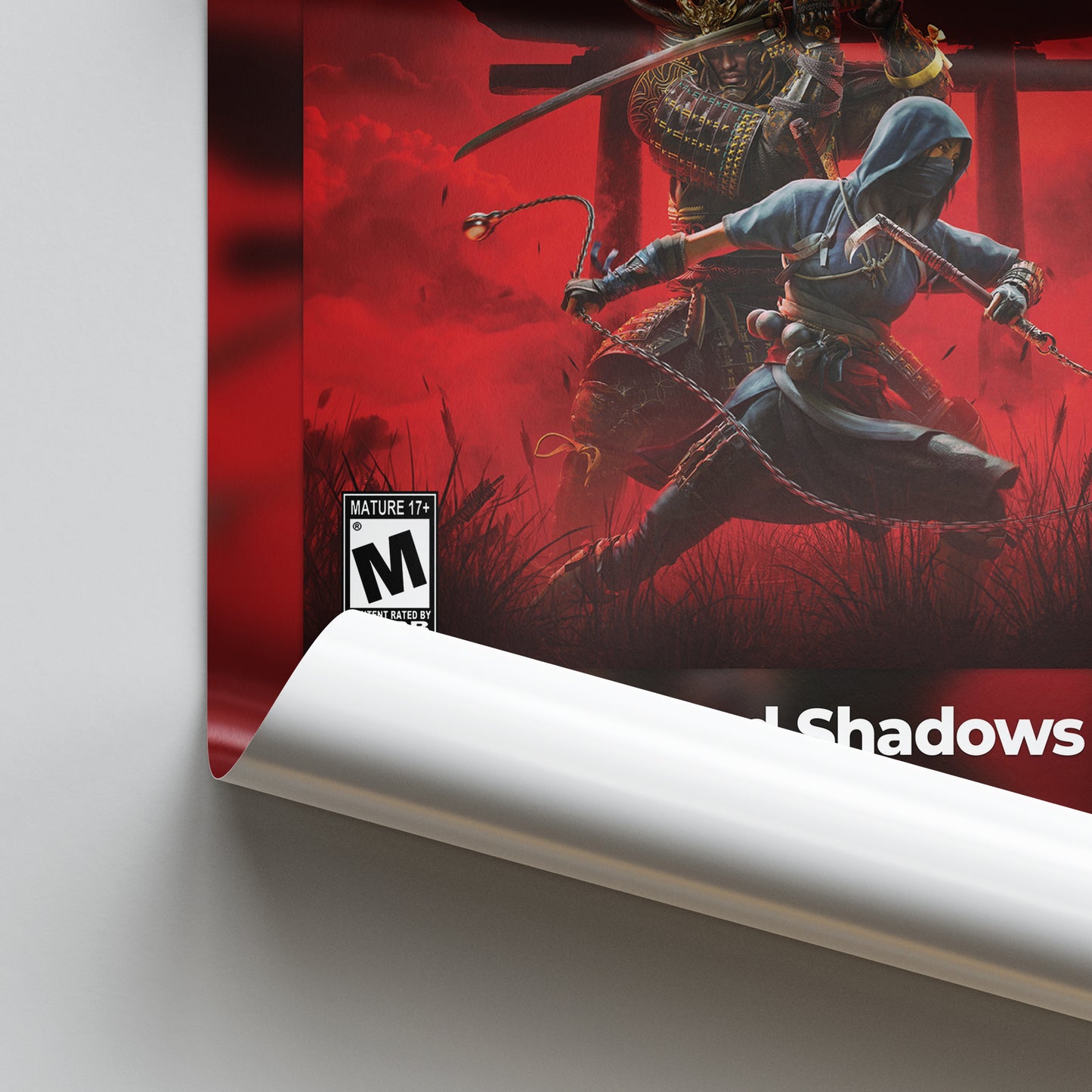 Assasins Creed Shadows Poster
