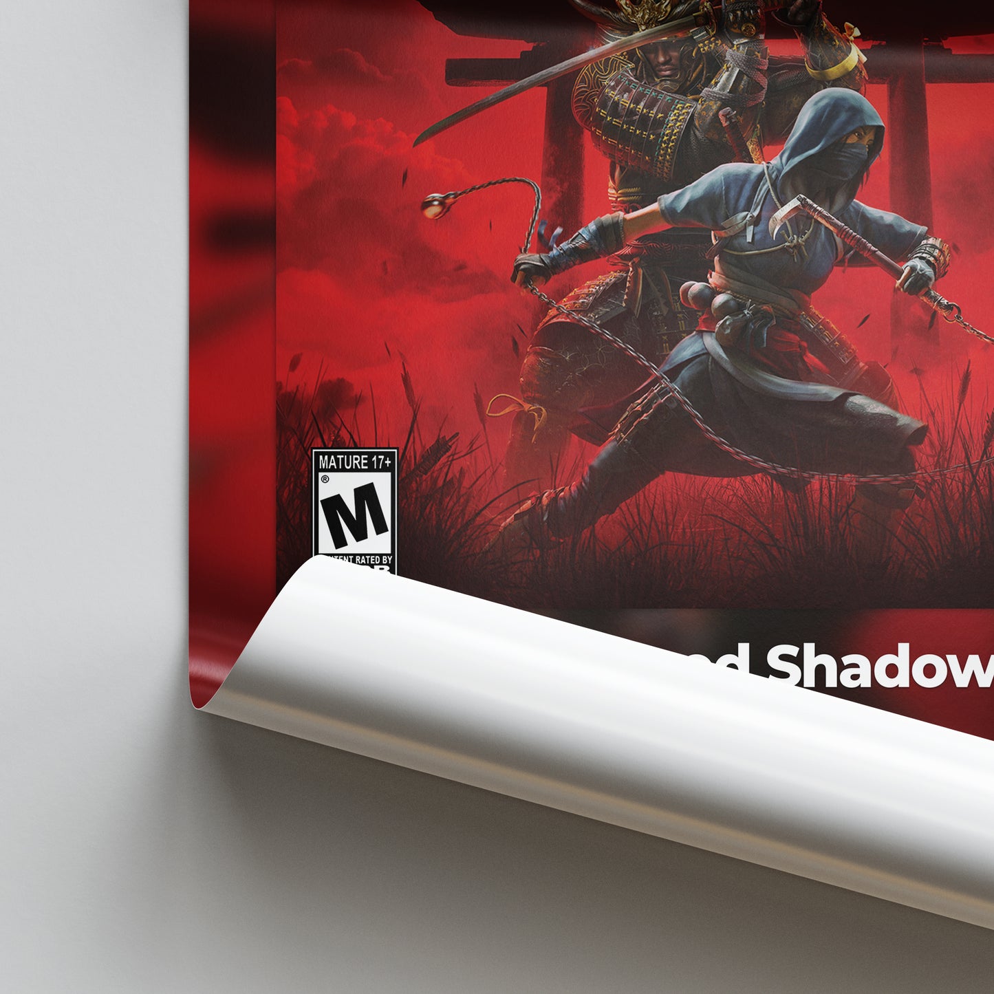 Assassin's Creed Shadows Poster