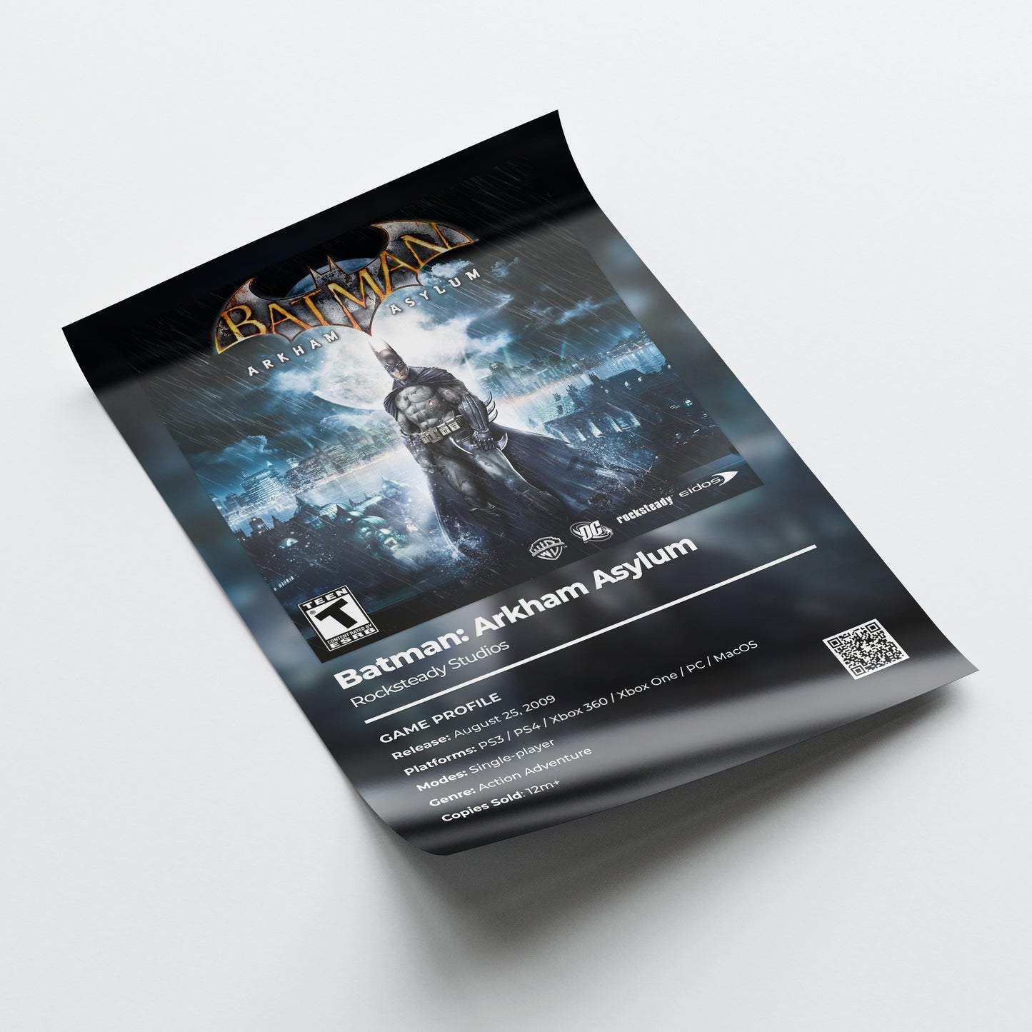 Batman: Arkham Asylum Poster Poster