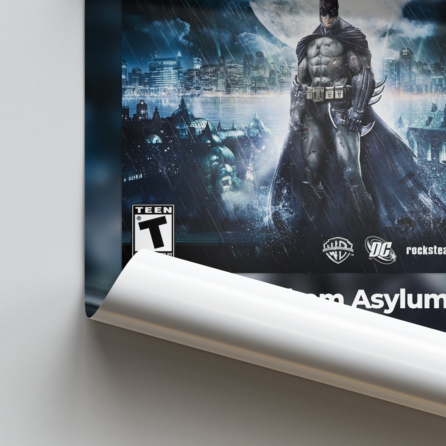 Batman: Arkham Asylum Poster Poster