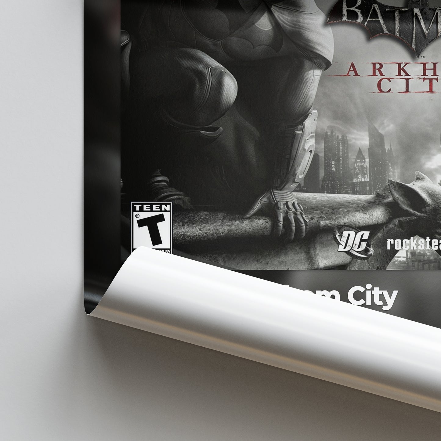 Batman: Arkham City Poster