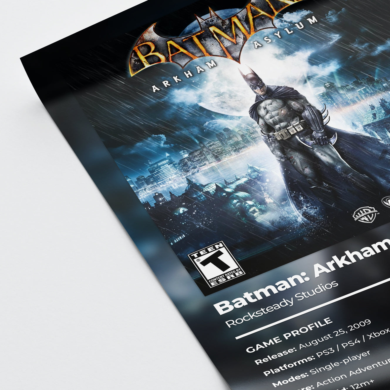Batman: Arkham Asylum Poster Poster