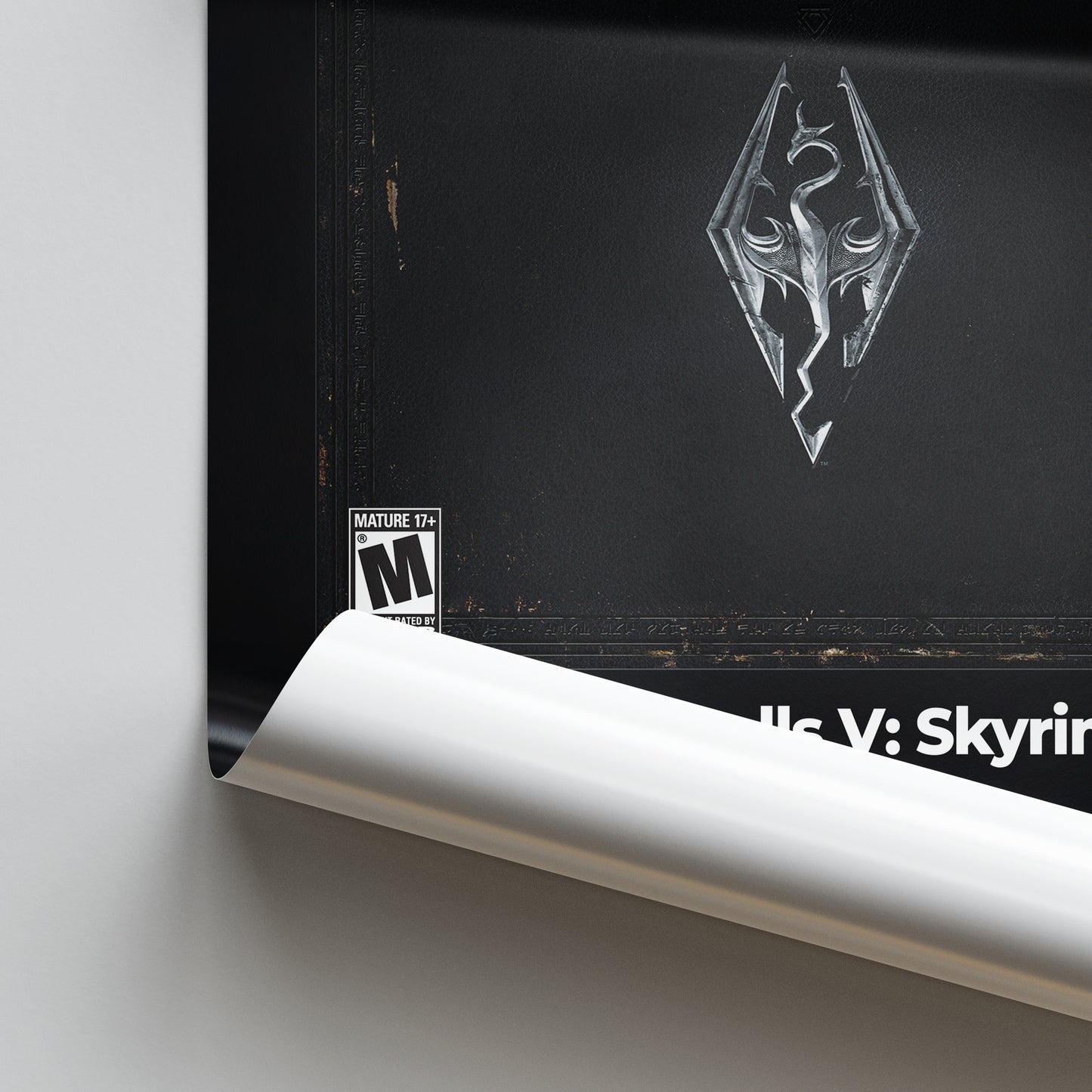 The Elder Scrolls V: Skyrim Poster