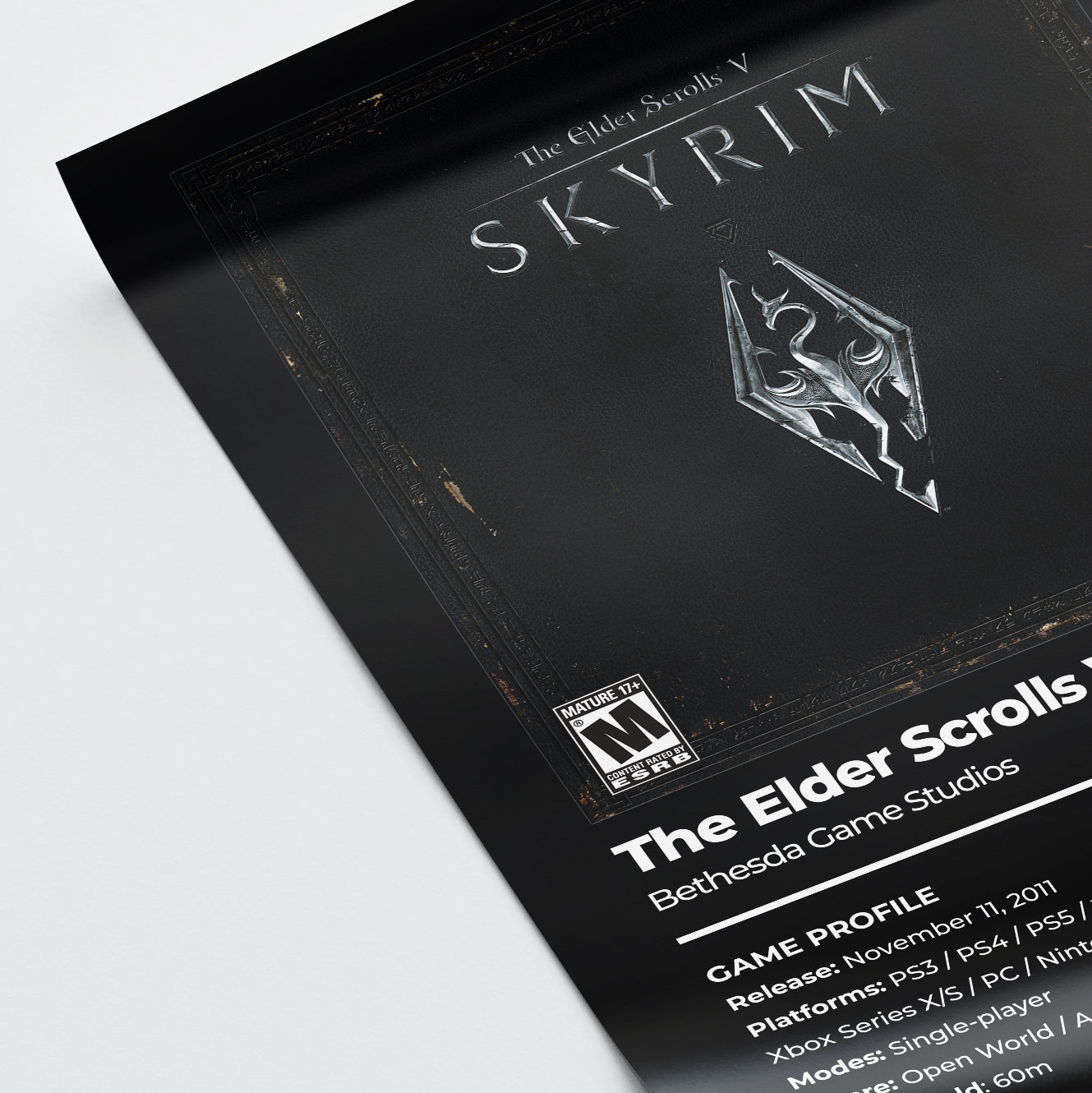 The Elder Scrolls V: Skyrim Poster
