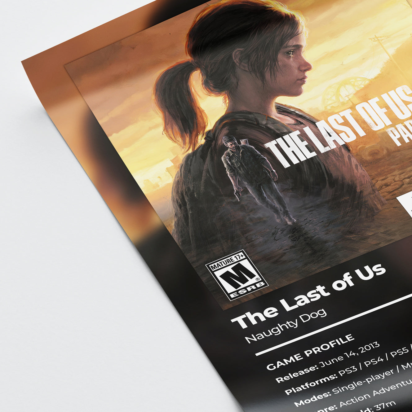 The Last of Us Poster